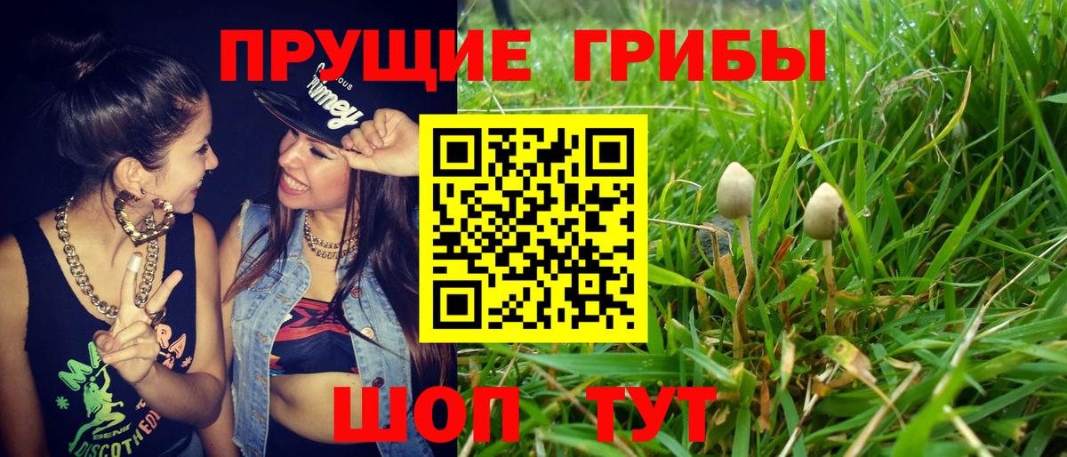 Конопля Владикавказ