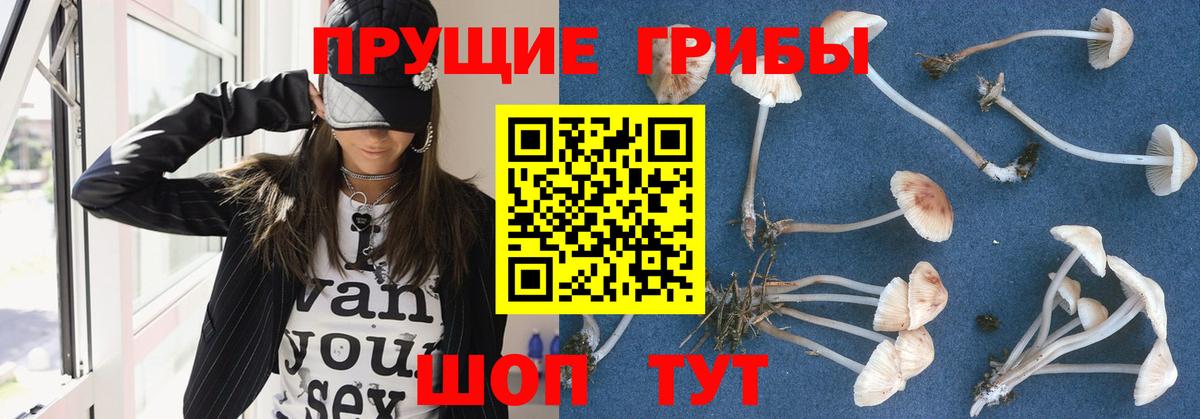 Галлюциногенные грибы мицелий Владикавказ
