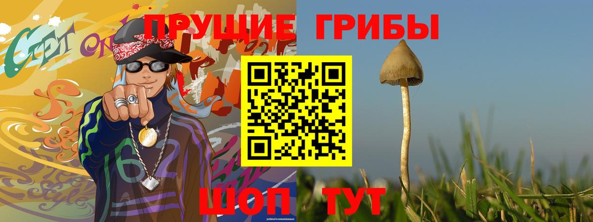 Псилоцибиновые грибы прущие грибы  Вход с VPN  Владикавказ  Галлюциногенные грибы MAGIC MUSHROOMS 